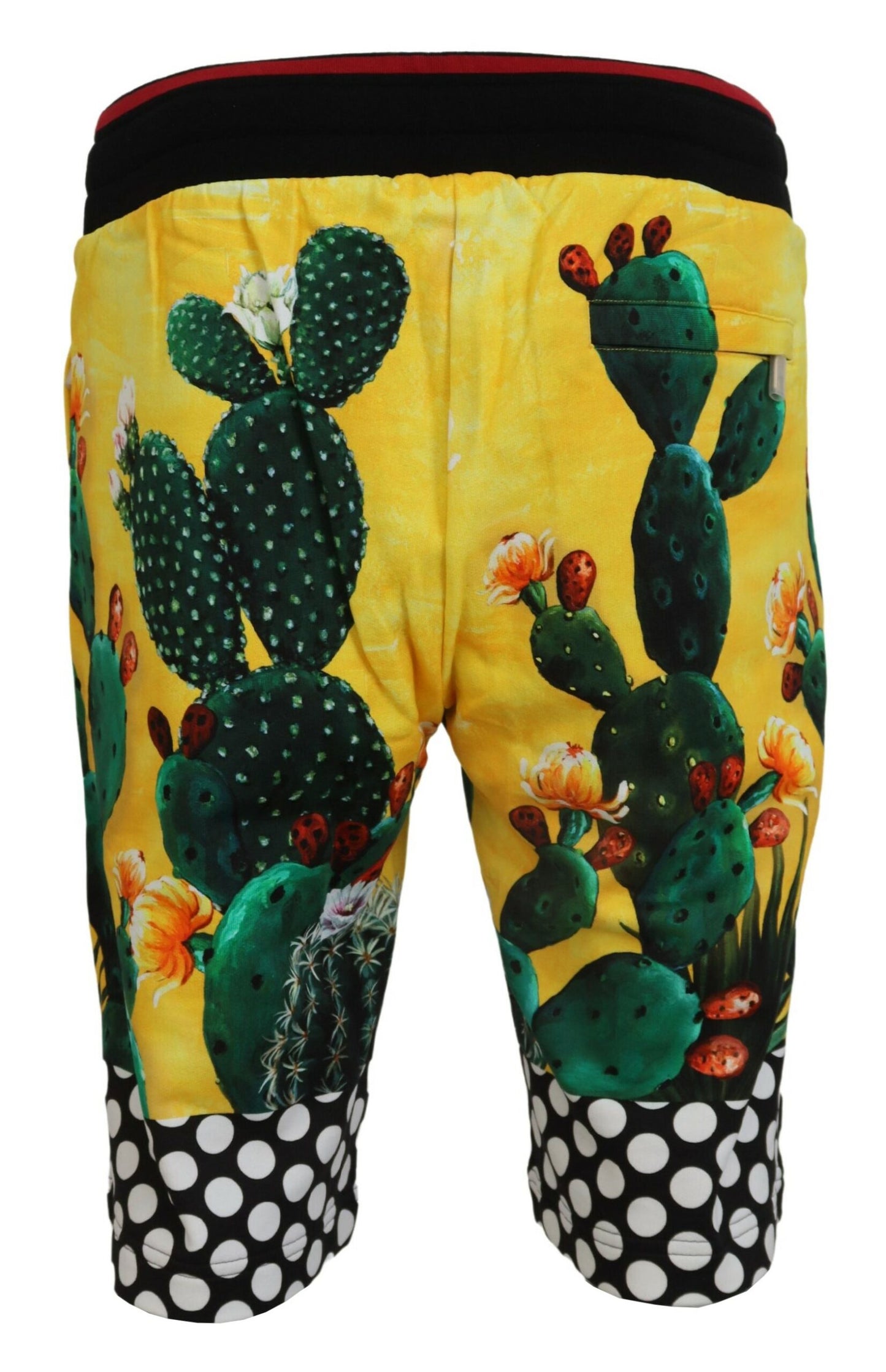 Dolce & Gabbana Multifarver Cactus Print Bomuld Sweat Shorts