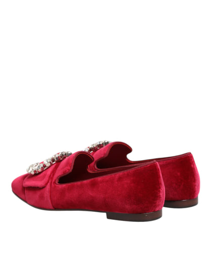 Røde Dolce & Gabbana jacquardloafers i fløjl