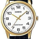 CASIO MTPV001GL7-Modeoutlet