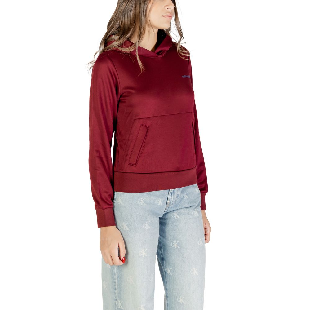 Calvin Klein Bordeaux Cotton Hoodie