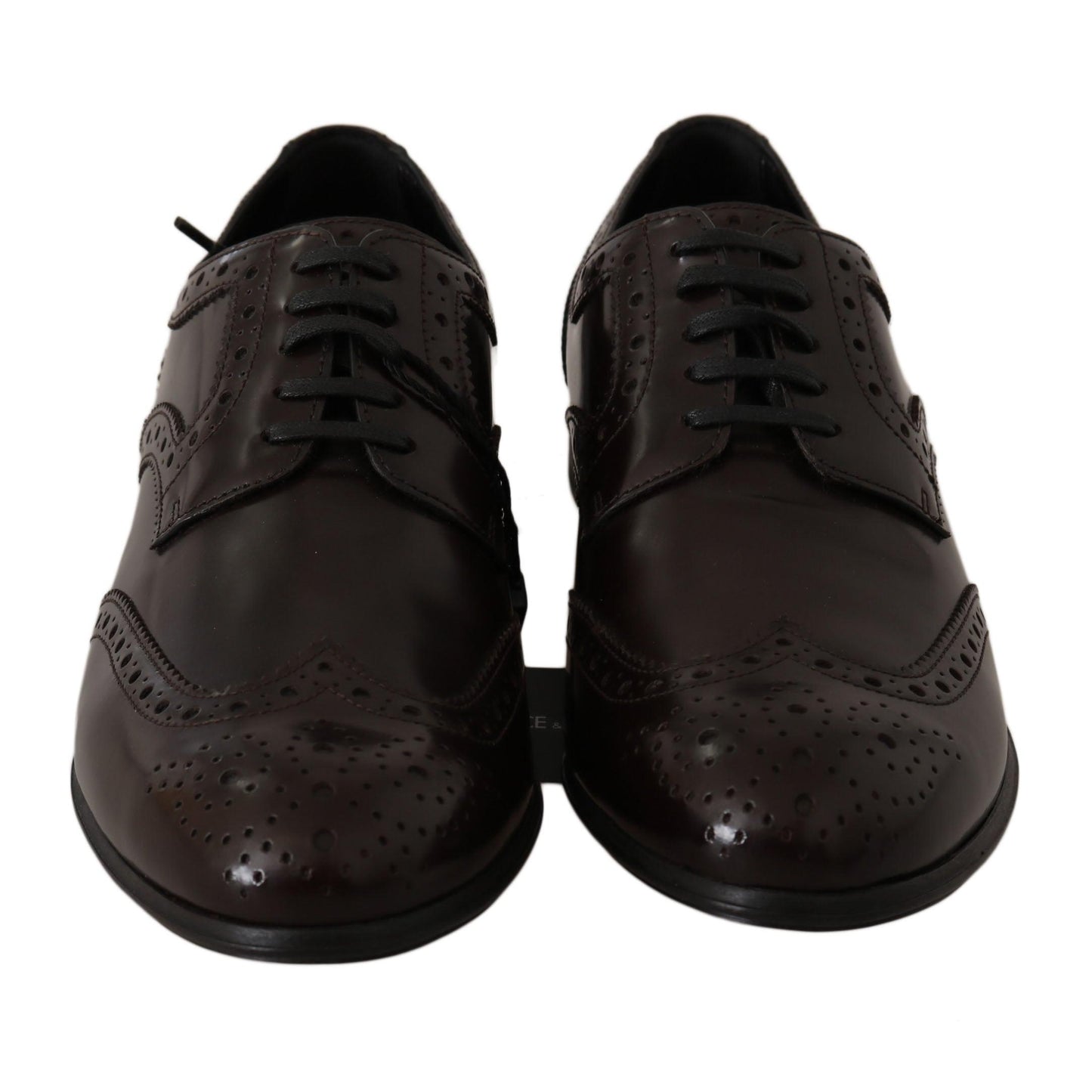 Dolce & Gabbana Brown Leather Broques Oxford Wingtip Shoes