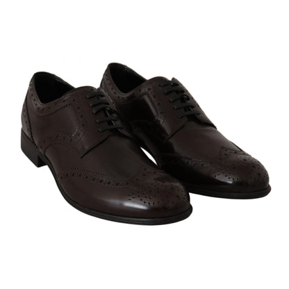 Dolce & Gabbana Brown Leather Broques Oxford Wingtip Shoes