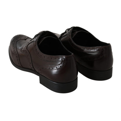 Dolce & Gabbana Brown Leather Broques Oxford Wingtip Shoes