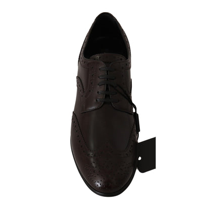 Dolce & Gabbana Brown Leather Broques Oxford Wingtip Shoes