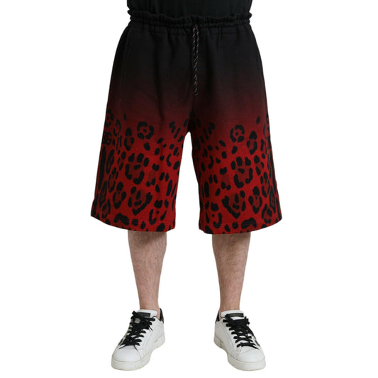 Dolce & Gabbana Red Leopard Print Cotton Bermuda Shorts