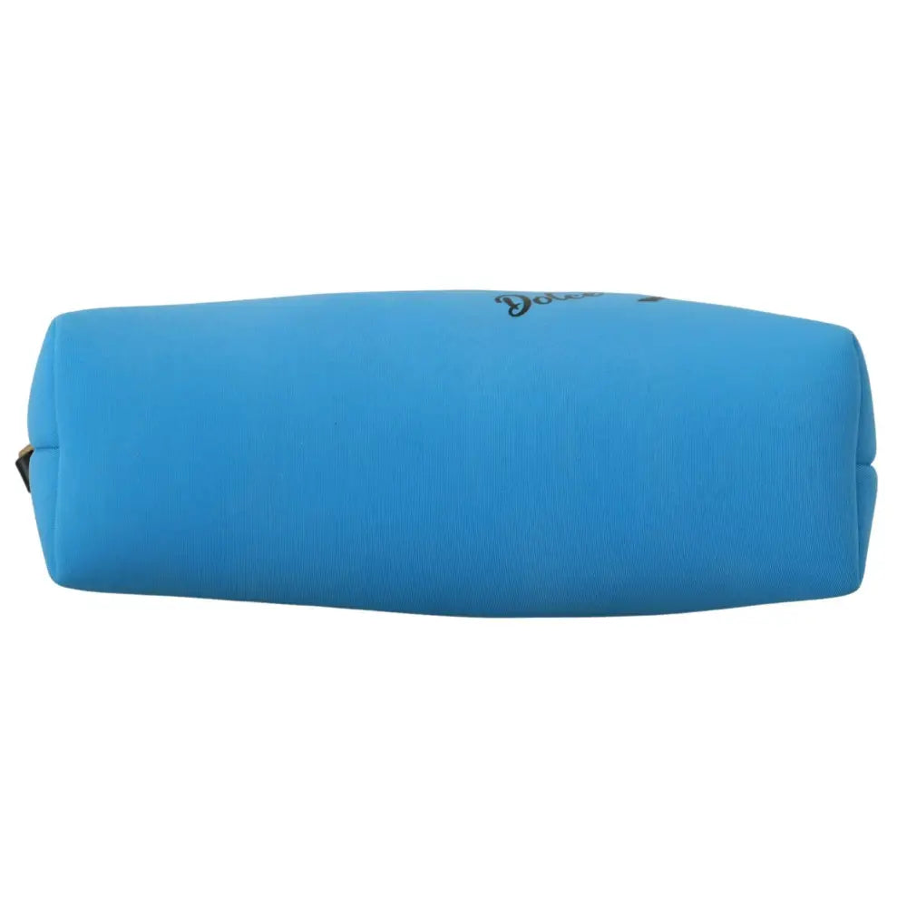 Dolce & Gabbana Blue Logo Print Hand Pouch Leopard Print Toiletry Bag