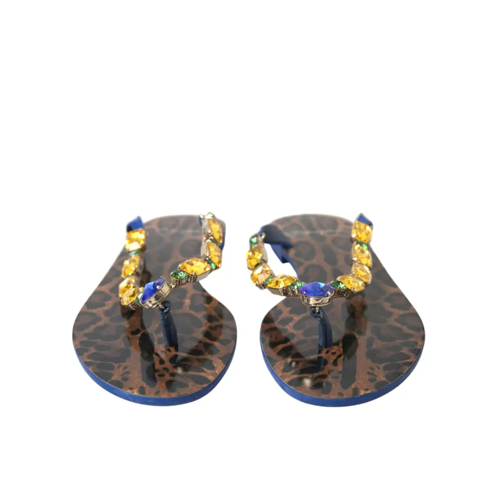 Dolce & Gabbana elegant blue leather flip-flops med leopardprint og ædelstenremme