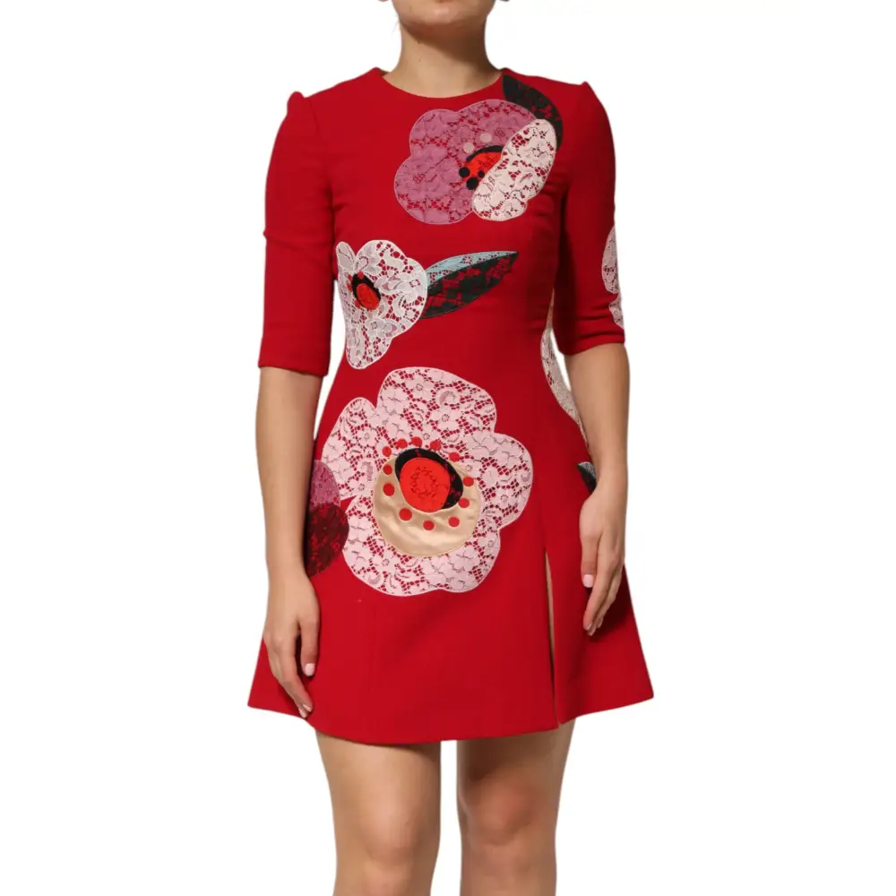 Dolce & Gabbana red lace floral appliqué A-line mini dress